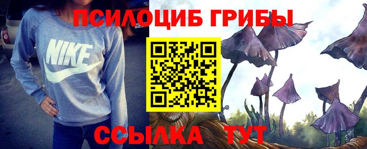 Псилоцибиновые грибы Magic Shrooms Каменск-Уральский